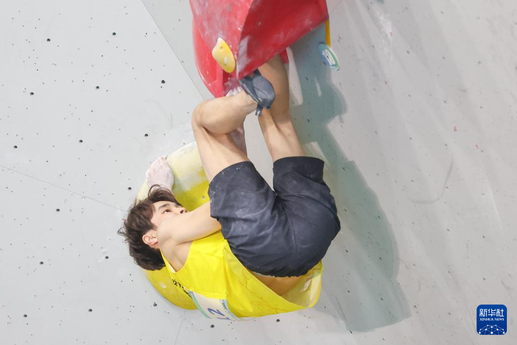 yid, entit yid, entit